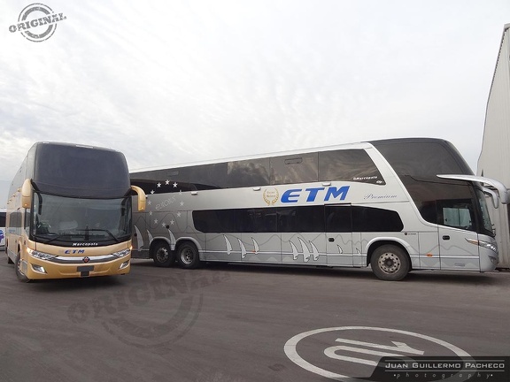 » Buses ETM | N° 301 & 139 