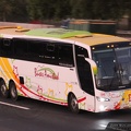 » Buses Amistad | N° 08