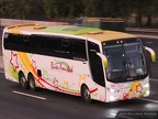 ► Buses Amistad