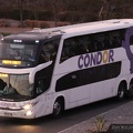 » Condor Bus | N° 2665 