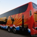 » Buses Cortes Flores | N° 0103