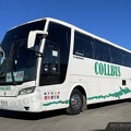 » Buses COLLBUS | N° 34