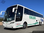 ► Buses COLLBUS