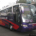 » Condor Bus | N° 236